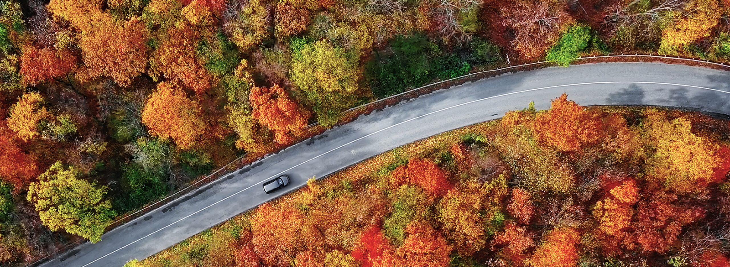 Aerial view of a car driving through fall trees